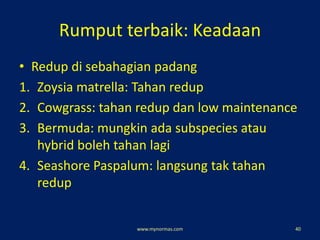 Rumput terbaik: Keadaan
• Redup di sebahagian padang
1. Zoysia matrella: Tahan redup
2. Cowgrass: tahan redup dan low maintenance
3. Bermuda: mungkin ada subspecies atau
hybrid boleh tahan lagi
4. Seashore Paspalum: langsung tak tahan
redup
www.mynormas.com 40
 
