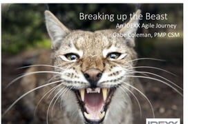 Breaking up the Beast
An IDEXX Agile Journey
Gabe Coleman, PMP CSM
 