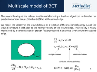 9
Multiscale model of BCT
The wound healing at the cellular level is modeled using a level-set algorithm to describe the
production of scar tissues (fibroblasts/ECM) at the wound edge.
We model the velocity of the wound closure as a function of the mechanical energy E, and the
wound curvature K that adds to the normal velocity of the wound edge. This velocity is finally
modulated by a concentration of growth factor produced in an active layer around the wound
edge.
 