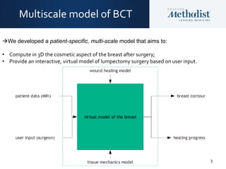 3
Multiscale model of BCT
We developed a patient-specific, multi-scale model that aims to:
• Compute in 3D the cosmetic aspect of the breast after surgery;
• Provide an interactive, virtual model of lumpectomy surgery based on user input.
 