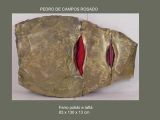 PEDRO DE CAMPOS ROSADO
Ferro polido e taftá
83 x 130 x 13 cm
 