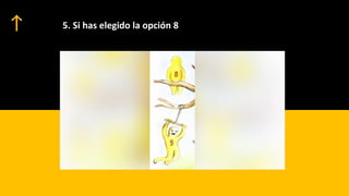 5. Si has elegido la opción 8
 