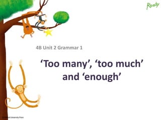 © Oxford University Press
‘Too many’, ‘too much’
and ‘enough’
4B Unit 2 Grammar 1
 