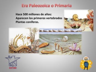 Hace 500 millones de años:
Aparecen los primeros vertebrados
Plantas coníferas.
 