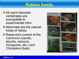 4C. VIRAL CNS INFECTIONS -POLIO, RABIES.pptx
