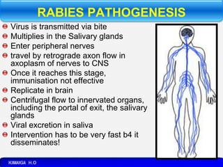 4C. VIRAL CNS INFECTIONS -POLIO, RABIES.pptx