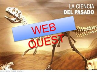 WEB QUEST
 
