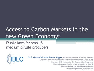 Access to Carbon Markets in the new Green Economy:<br />Public laws for small & medium private producers<br />Prof. Marie-...