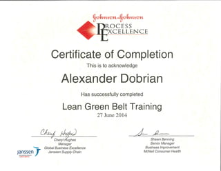 Alex - Lean Green Belt Training