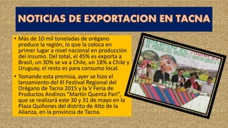 • Más de 10 mil toneladas de orégano
produce la región, lo que la coloca en
primer lugar a nivel nacional en producción
del insumo. Del total, el 45% es exporta a
Brasil, un 30% se va a Chile, un 18% a Chile y
Uruguay, el resto es para consumo local.
• Tomando esta premisa, ayer se hizo el
lanzamiento del XI Festival Regional del
Orégano de Tacna 2015 y la V Feria de
Productos Andinos “Martín Quenta Pari”,
que se realizará este 30 y 31 de mayo en la
Plaza Quiñones del distrito de Alto de la
Alianza, en la provincia de Tacna.
 