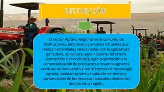 El Sector Agrario Regional es el conjunto de
instituciones, empresas y personas naturales que
realizan actividades relacionadas con la agricultura,
ganadería, apicultura, agroindustria, forestería
(extracción y silvicultura), agro exportación y la
comercialización de productos e insumos agrarios
servicios de innovación y transferencia de tecnología
agraria, sanidad agraria y titulación de tierras y
conservación de los recursos naturales; dentro del
ámbito de la región.
 