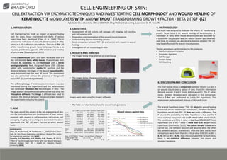 CELL ENGINEERING OF SKIN:
CELL EXTRACTION VIA ENZYMATIC TECHNIQUES AND INVESTIGATING CELL MORPHOLOGY AND WOUND HEALING OF
KERATINOCYTE MONOLAYERS WITH AND WITHOUT TRANSFORMING GROWTH FACTOR - BETA 2 (TGF -2)
Agbabiaka Oluwadamilola, UB no: 12017127, BEng Medical Engineering, Supervisor: Dr. M. Youseffi.
1. INTRODUCTION
Cell Engineering has made an impact on wound healing
over the years, tissue engineered skin drafts of various
types have been developed [Chen et al., 2009]. This is
achieved by cultivation of skin cells (keratinocytes) in vitro,
either in a 3D scaffold or culture flasks. The role of TGF -2
of the transforming growth factor beta superfamily is to
regulate proliferation, growth, differentiation and motility
of cells in vivo. [Gazaerly et al., 2013]
Primary keratinocyte (skin) cells were extracted from a 4
day old neonate Swiss white mouse. A wound was then
imitated by scratching the cell monolayer with a sterile
serological pipette. Next, the growth factor (TGF -2) was
added with supplemented media for nutrition and the
distance between the edges of the wound (wound width),
were monitored over the next 94 hours. This experiment
was also performed without the presence of the growth
factor TGF -2 (control experiment).
The cell morphology of keratinocytes monolayers was also
monitored during the experiment and the keratinocytes
had developed fibroblast-like morphologies in vitro. The
image analysis and observations were carried out using the
Visicapture software. The Image J software was used to
measure the distance between the wound edges between
the experiments including the control.
2. AIM
The main aim of this project is the cell engineering of skin
and the main objectives are development of own various
protocols with respect to cell extraction, cell culture, cell
passaging, imaging and counting and also to test the above
hypothesis that TGF -2 alters the rate at which wound
heals.
4. METHODOLOGY
This study was designed to evaluate the effects of Transforming
growth factor beta 2 on wound healing of keratinocytes. A
monolayer of Swiss white mouse keratinocytes was wounded by
a scratch for this purpose and the wound closure was observed
over time. An analysis was also done to examine whether TGF -2
may have influenced the wound closure process.
The lab procedures performed during this study are:
• Cell Extraction and Isolation
• Enzymatic digestion
• Cell Passage
• Scratch Assay
• Cell Counting
5. RESULTS AND ANALYSIS
• The Images below show attempt on scratch assay
• The images below show wound healing over time
• The Table and chart below show the wound healing analysis
6. DISCUSSION AND CONCLUSION
The chart below shows a comparison between Wound 1, 2 and 3
on wound closure over a period of time. From the information
derived, wounds 2 and 3 closed before wound 1. The R2 value,
mean, standard deviation were calculated in this comparison.
Also a T-Test was performed to justify the hypothesis. This
analysis was performed with the use of Microsoft Excel.
The original hypothesis states “TGF -2 alters the wound healing
process of mouse keratinocyte monolayers”, therefore the NULL
hypothesis would state TGF -2 does not make a difference. The
P value is the probability the NULL hypothesis is true and the P
value is always compared with the P critical value which is 0.05.
The conditions are if the P value is less than 0.05 REJECT NULL
hypotheses and if the P value is more than 0.05 ACCEPT NULL
hypotheses [mathworks, 2015]. Two paired sample T-Tests were
carried out, one between wound1 and wound2 while the other
was between wound1 and wound3. From the table above, both
comparisons were more than the critical value 0.05 (W1 vs W2 =
0.73) (W1 vs W3 = 0.76), then it is concluded that for both tests,
there is no statistical difference between the means and
standard deviations.
3. OBJECTIVES
• Development of cell culture, cell passage, cell imaging, cell counting
and cell isolation skills.
• Preparation and investigation of the wound closure response.
• Understanding the wound healing process.
• Good comparison between TGF - 2 and control with respect to wound
healing.
• Investigation of cell morphology in vitro.
REFERENCES
Chen, M. Przyborowski, M. Berthiaume, F., (2009).[Online] ‘Stem
Cells for Skin Tissue Engineering and Wound Healing’.The centre
for engineering medicine, USA.[NCBI]
Gazaerly, H.E. Elbardisey, D.M. Eltokhy, H.M. Teaama, D. (2013),
‘Effect of Transforming Growth Factor Beta 1 on Wound Healing in
Induced Diabetic Rats’. Int. J. Health Sci. (Qassim), Qassim
University. [NCBI]
Images were taken using the Image J software.
 