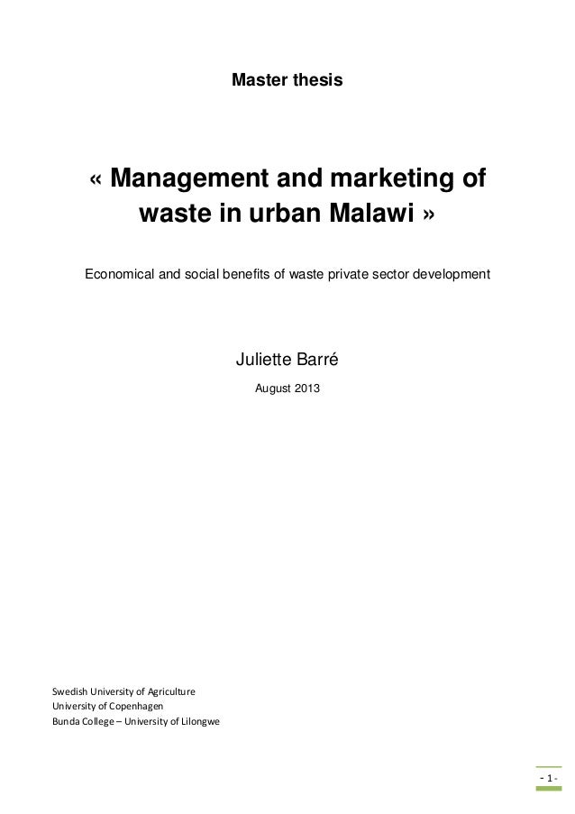 Master thesis in advertising