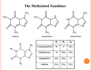 The Methylated Xanthines
 