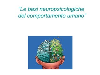 “Le basi neuropsicologiche
del comportamento umano”
 