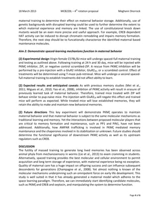 18 March 2013 MCB220L – 4th
rotation proposal Meghann Shorrock
Page 4 of 6
maternal training to determine their effect on maternal behavior storage. Additionally, use of
genetic backgrounds with disrupted learning could be used to further determine the extent to
which maternal experience and memory are linked. The use of constitutaional knock down
mutants would be an even more precise and useful approach. For example, CREB dependent
HAT activity can be induced to disrupt chromatin remodeling and impairs memory formation.
Therefore, the next step should be to funcationally characterize the identified maternal based
maintenance molecules.
Aim 2: Demonstrate spaced-learning mechanisms function in maternal behavior
(2) Experimental design Virgin female C57BL/6J mice will undergo spaced-full maternal training
and testing as outlined above. Following training at 24 h and 30 day, mice will be injected with
PKMζ inhibitor, ZIP, or negative control scrambled-ZIP. A rescue from PKMζ inhibition will be
performed by a pre-injection with a GluR2 inhibitor, GluR23Y, or a scrambled control. Effect of
treatments will be determined using T-maze pub-retrieval. Mice will undergo a second spaced-
full maternal training to establish treatments did not affect ability to learn.
(2) Expected results and anticipated caveats As with previous memory studies (Mei et al.,
2011; Migues et al., 2010; Yao et al., 2008), inhibition of PKMζ activity will result in erasure of
previously learned task of maternal behavior. Therefore, trained mice treated with ZIP will
behave similar to pup-naive mice. Pre-injection with GluR23Y will negate this effect and trained
mice will perform as expected. While treated mice will lose established memories, they will
retain the ability to make and maintain new behavioral memories.
(2) Future directions This key experiment will demonstrate PKMζ operates to maintain
maternal behavior and that maternal behavior is subject to the same molecular mechanisms as
traditional learning and memory. Yet the interactions between proposed molecular players that
are critical to memory formation and maintenance, such as PP1 and PIN1, have not been
addressed. Additionally, how AMPAR trafficking is involved in PKMζ mediated memory
maintenance and the chaperones involved in its stabilization or unknown. Future studies should
determine the functional significance of downstream PKMζ activity as well as its upstream
regulators such as CREB.
DISCUSSION
The futility of massed training to generate long lived memories has been observed across
animal phyla from mechanosensory in worms (Lie et al., 2013) to exam cramming in students.
Alternatively, spaced training provides the best molecular and cellular environment to permit
acquisition and long term storage of experience, with maternal experience being no exception.
Quality of maternal care has a huge impact on offspring success and can influence subsequent
descendents for generations (Champagne et al., 2008). Yet almost nothing is known of the
molecular mechanisms underpinning such an omnipotent force on early life development. This
study is well suited in that it has already generated a maternal model which adheres to the
space learning paradigm. Therefore, we can immediately start identifying candidate molecules,
such as PKMζ and CREB and oxytocin, and manipulating the system to determine function.
 
