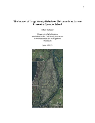 1
The Impact of Large Woody Debris on Chironomidae Larvae
Present at Spencer Island
Ethan Huffaker
University of Washington
Professional and Continuing Education
Wetland Science and Management
Practicum
June 4, 2015
 
