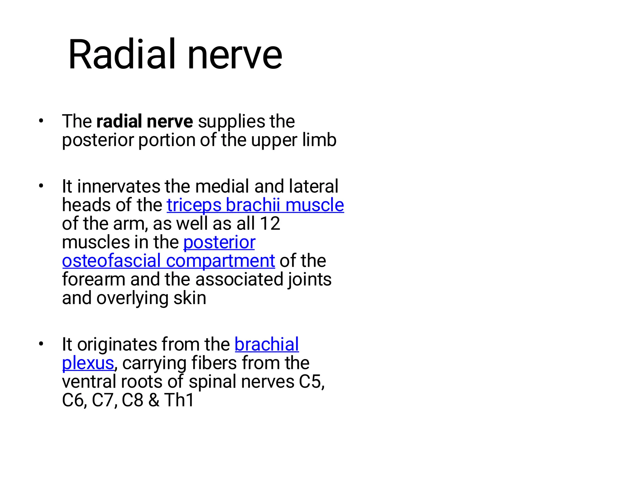 Radial nerve
• The radial nerve supplies the
posterior portion of the upper limb
• It innervates the medial and lateral
heads of the triceps brachii muscle
of the arm, as well as all 12
muscles in the posterior
osteofascial compartment of the
forearm and the associated joints
and overlying skin
• It originates from the brachial
plexus, carrying fibers from the
ventral roots of spinal nerves C5,
C6, C7, C8 & Th1
 