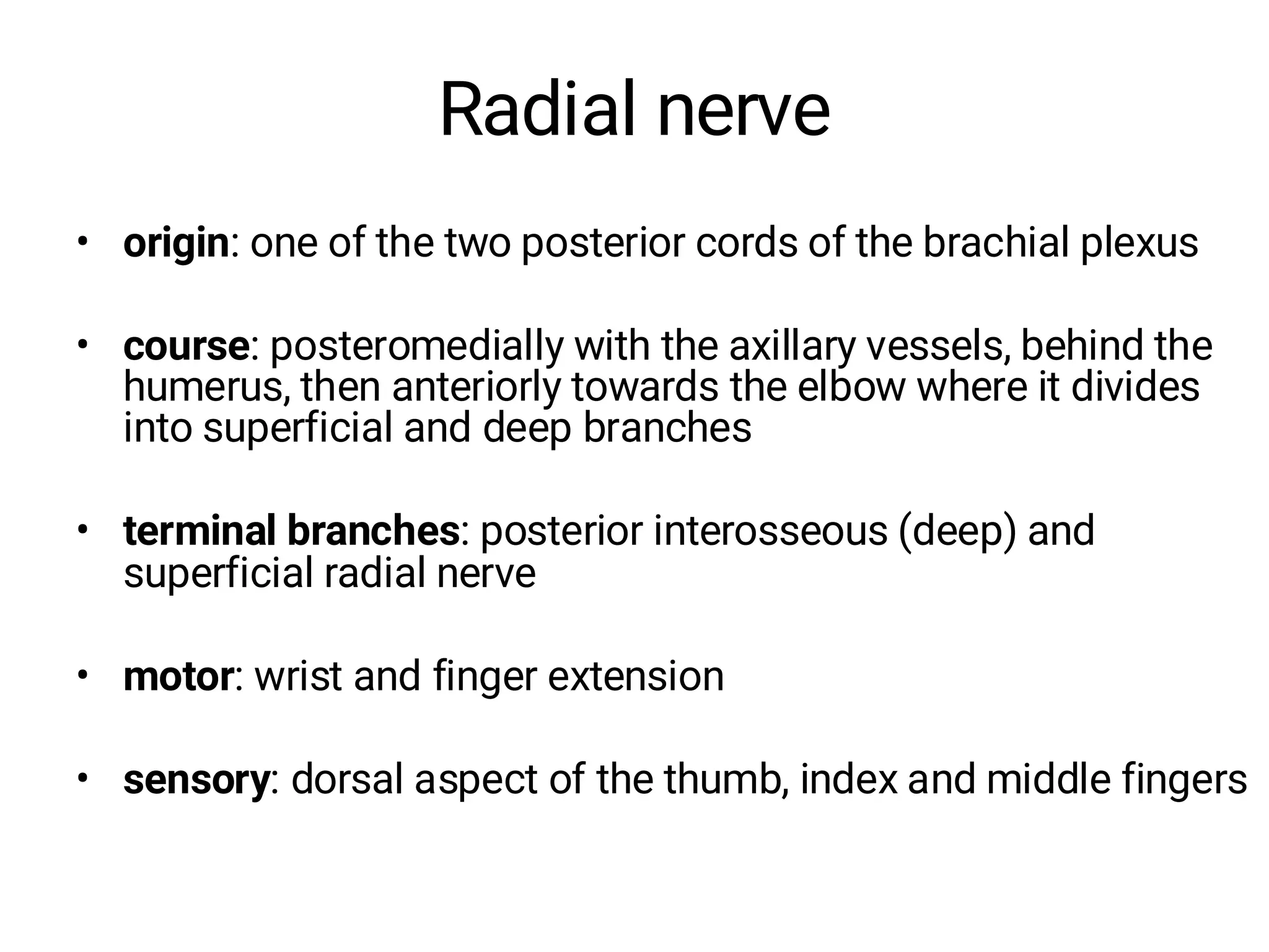 Radial nerve
• origin: one of the two posterior cords of the brachial plexus
• course: posteromedially with the axillary vessels, behind the
humerus, then anteriorly towards the elbow where it divides
into superficial and deep branches
• terminal branches: posterior interosseous (deep) and
superficial radial nerve
• motor: wrist and finger extension
• sensory: dorsal aspect of the thumb, index and middle fingers
 