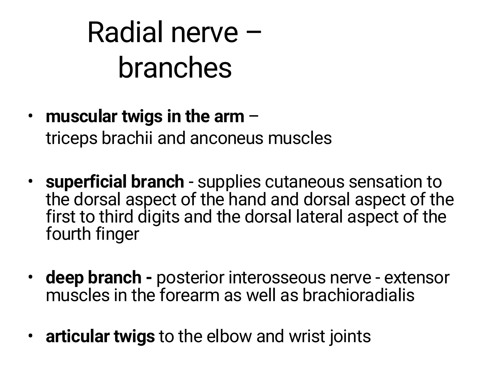 Radial nerve –
branches
• muscular twigs in the arm –
triceps brachii and anconeus muscles
• superficial branch - supplies cutaneous sensation to
the dorsal aspect of the hand and dorsal aspect of the
first to third digits and the dorsal lateral aspect of the
fourth finger
• deep branch - posterior interosseous nerve - extensor
muscles in the forearm as well as brachioradialis
• articular twigs to the elbow and wrist joints
 