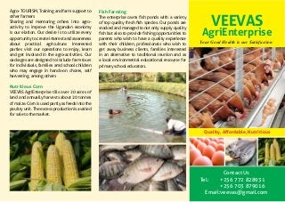 VEEVAS
AgriEnterprise
Your Good Health is our Satisfaction
Quality, Affordable, Nutritious
Contact Us
Tel: 	 +256 772 828931
	 +256 703 879016
Email:veevas@gmail.com
Fish Farming
The enterprise owns fish ponds with a variety
of top quality fresh fish species. Our ponds are
stocked and managed to not only supply quality
fish but also to provide fishing opportunities to
parents who wish to have a quality experience
with their children, professionals who wish to
get away business clients, families interested
in an alternative to traditional reunion and as
a local environmental educational resource for
primary school educators.
Agro- TOURISM, Training and farm support to
other farmers
Sharing and mentoring others into agro-
activity to improve the Ugandan economy
is our elation. Our desire is to utilize every
opportunity to create interest and awareness
about practical agriculture. Interested
parties visit our operations to enjoy, learn
and get involved in the agro-activities. Our
oackages are designed to include farm tours
for individuals, families amd school children
who may engage in hands-on chores, self
harvesting, among others
Nutritious Corn
VEEVAS AgriEnterprise tills over 20 acres of
land and annually harvests about 20 tonnes
of maize. Corn is used partly as feeds into the
poultry unit. The excess production is availed
for sale to the market.
 
