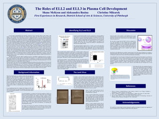 The Roles of ELL2 and ELL3 in Plasma Cell Development
Shane McKeon and Aleksandra Basina Christine Milcarek
First Experiences in Research, Dietrich School of Arts & Sciences, University of Pittsburgh
Abstract
The Lenti Virus
DiscussionIdentifying ELL2 and ELL3
Acknowledgements
B cells express immunoglobulin (Ig) molecules composed of heavy and light chains on their surfaces; after
antigen or LPS stimulation they differentiate into antibody secreting plasma cells (ASCs) that make and secrete large
amounts of the Ig protein. One of the primary processes to influence the shift to Ig secretion is differential Ig heavy
chain RNA polyadenylation and splicing. We showed in unpublished data that the small nuclear RNAs important for
splicing are reduced in ASCs relative to B cells (Carew & Smith, personal communication). Previous studies showed
that (a.) the transcription elongation factor ELL2 is induced with differentiation to ASCs, (b.) conditional deletion of
ELL2 results in decreased Ig heavy chain secretory-specific mRNA production and diminished Ig secretion in the whole
animal and (c.) after LPS stimulation of B cells ELL3 decreases and ELL1 is unchanged (1). The ELL3 and ELL1 and
2 proteins are closely related in structure but ELL3 lacks the interior ~100 amino acids (2). The ELL proteins have been
shown to be involved in at least two transcription elongation complexes, the little elongation complex (LEC) involved
with small nuclear RNAs, and the super elongation complex (SEC) important for the bulk of genes transcribed in
Drosophila and human cancer cell lines (3). However, the differential involvement of ELL2 versus ELL3 was not
explored. We then hypothesized that the transition in expression of ELL3 to ELL2 is important in the development of B
cells into ASCs, and would influence both Ig secretory mRNA expression and small RNA synthesis. The Milcarek
Laboratory is using Quantitative PCR (QPCR), western blots and complementation of defects in knockout mice to
display the relationships. The research this semester was primarily focused on seeing whether or not ELL1, 2 and 3 had
similar functions. To do so, we first needed to test our cell lines to make sure we had the correct antibodies, and grow a
virus that could be used to correct deficiencies in the immunoglobulin secretion abilities of splenic B cells from ELL2
conditional knockout mice.
We began with two cell lines, MM1.S containing only ELL2, and SKW6.4 containing only ELL3. In order to
provide concrete support that these cells line expressed the desired proteins we ran a QPCR which showed that SKW6.4
does indeed contain ELL3 while MM1.S does not (Figure 1). Furthermore, a western blot was run using antibodies
complimentary to ELL2. Once the blot was transferred to a membrane and imaged with chemiluminescence, it was clear
that MM1.S contains ELL2, while SKW6.4 did not. (Figure 2)
Moving forward, Lenti virus DNA will be packaged and placed into knockout mice cells (contains no ELL2) and wild
type mice cells (contains ELL2). The cells without ELL2 should produce no immunoglobulin secretion as their immune
system has been compromised. ELL1, ELL2 and ELL3 will then be individually added to the knockout cells. It is
expected that ELL2 will correct this defect, however, the main purpose of this experiment is to see if ELL1 and/or ELL3
will also correct the defect. If so, it will prove that ELL1 and/or ELL3 have similar if not the same function within the
immune system. Future directions will involve characterizations of the LECs and SECs for B versus ASCs.
We would like to acknowledge Christine Milcarek for guiding us through this research and supporting our
love for research. Also we would like to thank FER for this experience.
Background Information
When B cells differentiate into antibody secreting cells many genes are
affected but little information is known. In a previous study, Dr.
Milcarek found that there were changes in the expression of small
nuclear RNA; an important component in splicing out introns from pre-
RNA to form mature mRNA. Additionally, it was found that ELL3
levels are diminished after stimulation from B cells to ASC. As seen in
the figure to the right, ELL3 is much lower in ASCs than B cells, while
ELL2 is much lower in B cells than ASCs. This information led to
looking into how snRNA is controlled during the transition from B cells
to ASCs.
It was hypothesized that ELL3 regulates the formation of SECs and
LECs in B cells while ELL2 drives the formation of the SECs over the
LECs when producing antibodies. It is this switch that benefits mRNA
instead of snRNA.
To test the hypothesis, we wanted to see if the down regulation of snRNA was
linked to the down regulation of ELL3. Naïve splenic cells will be stimulated
with LPS and then treated with inhibitors of protein synthesis or RNA
synthesis and the production of ELL3 and snRNA will be monitored. Prior to
doing so, the research mainly focused on identifying which cell lines contained
ELL2 vs ELL3 so that we could be sure we had the correct genes.
Additionally, we decided to grow a lenti virus that would be placed into ELL2
knockout splenic B cells. We would then inject the ELL proteins one at a time
and see if one, or all could correct the deficiency, by monitoring the
immunoglobulin secretion.
The image to the left shows the similarities and differences between all three
ELL proteins on a molecular level. As you can see most of ELL3’s DNA
sequence is unknown and the parts that are shown are similar to the other ELL
genes, suggesting a similarity between the genes functions.
10
3.0
2.5
2.0
1.5
1.0
11 12 13 14 15 16 17 18 19 20
10
3.0
2.5
2.0
1.5
1.0
1 2 3 4 5 6 7 8 9 10
To obtain a virus to transfect into the splenic B cells we ordered bacteria that
contained a lenti virus, but needed to test if the sample actually contained the
desired virus. The sample came with a plasmid map (as seen to the left) , that
showed what enzymes would cut the plasmid, and at what locations. For our
purposes we choose three enzymes, EcoR1, Sac1 and Sal1. These enzymes
were predicted to produce segments of the plasmid at 6973 and 3401 for
EcoR1, 2960, 191, 7223 for Sac1 and 1618, 2185, 6571 for Sal1. To test if our
lenti virus would be cut in the appropriate locations, we mixed the enzymes
with their complementary buffers and the DNA and ran each enzyme on a DNA
gel , with three different samples of the lenti virus. In the gels below, lanes 6,
12, and 16 contain the lenti virus uncut, so serve as a control.
Lanes 7, 13, and 17 contain the lenti virus cut
with the EcoR1 enzyme and came out to be
around 6000 kDa, as expected.
Lanes 8, 14,and 18 contain the Sac1 enzyme and
as seen in lanes 14 and 18, two bands appeared,
one around 7000 kDa and another around 3000
kDa. Additionally, lane 8 contains the band at
7000 kDa and another very faint band around
200 kDa. All three of these bands were expected
when cutting the plasmid with sac1.
Lanes 9, 15 and 19 contain the lentu virus cut
with Sal1 and all three lanes contain three bands
around the 6000 kDa mark, the 2000 kDa and
the 1000 kDa mark. All three values are
consistent with the predicted values provided by
the plasmid map.
In order to confirm that the MM1.S cell line contained ELL2 while the SKW6.4
cell line did not, we ran a protein gel and western blot. Because the MM1.S cells
were ASCs we expected a much large abundance in ELL2 than in the B cells
(SKW6.4). In order to test the results the gel was transferred to a western blot and
coated with a primary antibody that was complementary for ELL2 overnight. It
was then washed and a anti- ELL2 secondary antibody was placed on the
membrane. We were then able to expose the membrane to chemiluminescence
and received the image to the left.
The expected molecular weight of ELL2 is 72 kDa. As seen in the image there
are thick bands within the ASC lanes that are near 72 kDa, as seen on the protein
ladder next to the membrane image. Additionally, there are no bands around 72
kDa under the B cell lanes, proving that ELL2 is expressed in ASCs but not B
cells.
PCR is typically used to amplify a specific gene, or portion of gene, so that we can
study the function of that gene or gene region. In our experiments, we amplify the
lentiviral DNA that contains a vector with the gene eGFP (green fluorescent protein)
as well as ELL3. Primers are used to flank the region you want to amplify. Each
primer will amplify the gene sequence on both strands, creating a double-stranded
gene product. The primers we used are represented at the figure below.
The PCR process follows 3 steps. Denaturation step: First, you heat the DNA to a
high temperature (95 °C) so that the two strands of genomic DNA, and later PCR
DNA, separate. Annealing step: Second, you reduce the temperature (around 60 °C)
so that DNA primers bind to either end of the template that you want to amplify. It
is important that you have two primers, one to bind
to each strand of DNA. Extension Step: Third, you
raise the temperature to about 70 °C to activate a
DNA polymerase and elongate the primer with
respect to the template strand.
Over the course of the semester in the Milcarek lab, we were
ultimately able to lay the ground work for further testing of whether
genes ELL1 and ELL3 have similar function in the immune response
to that of the gene ELL2.
We were able to ensure that the MM1.S cell line contained only
ELL2 and the SKW6.4 cell line contained only ELL3 through
quantitative PCR analysis as well as western blots using antibodies
known to be complimentary to ELL2 (and therefore able to detect its
presence). In addition, we were able to confirm that the lenti viral
vector containing our genes of interest were present in the bacterial
host, and therefore could be used to transfect into B cells of
conditional knockout mice.
References
1. Park, K. S., Bayles, I., Szlachta-McGinn, A., Paul, J., Boiko, J., Santos, P., Liu, J., Wang, Z., Borghesi, L.,
and Milcarek, C. (2014) J. Immunol. 193, 4663-4674
2. Miller, T., Williams, K., Johnstone, R. W., and Shilatifard, A. (2000) J. Biol. Chem. 275, 32052-32056
3. Luo, Z., Lin, C., and Shilatifard, A. (2012) Nat Rev Mol Cell Biol 13, 543-547
4. Sage M. Smith, Nolan T. Carew, and Christine Milcarek Department of Immunology, University of
Pittsburgh, School of Medicine, Pittsburgh, PA 15261, United States
Recall that B cells differentiate into antibody secreting plasma cells (ASCs) upon stimulation by an antigen or
lipopolysaccharide (LPS). ASCs make and secrete vast amounts of immunoglobulin molecules (Ig), and that this
is influenced by differential IG heavy chain RNA polyadenylation and splicing.
Also recall that ELL2 is the only gene of the three ELL genes that has previously been shown to act directly on
immunoglobulin genes. It has so far been established that ELL2 is induced at least 10-fold in antibody secreting
cells in comparison to B cells, while ELL1 expression decreases slightly and ELL3 expression decreases
tremendously. In turn, such changes cause the RNA polymerase II in antibody secreting cells to take on different
properties, ultimately resulting in changes concerning RNA processing and modification of histones (4).
Continued research will focus on the role of ELL1 and ELL3 and whether they may substitute ELL2 in such
functions.
In the future, the lenti virus containing the gene of
interest will be transfected into cells of conditional
knockout mice. This will test whether ELL1 and/or
ELL3 can have similar functionality as that
exhibited by ELL2. In addition, further research
may lead to characterization and analysis of the
long elongation complexes (LECs) and the short
elongation complexes (SECs) present in B cells as
opposed to in ASCs.
 