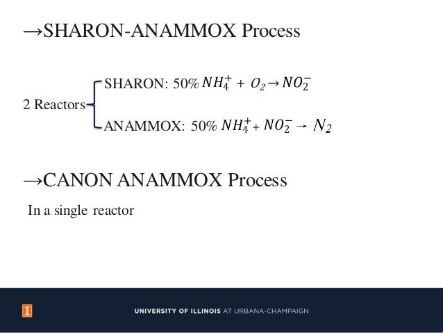 Anammox Process for Nitrogen Removal from Wastewater
