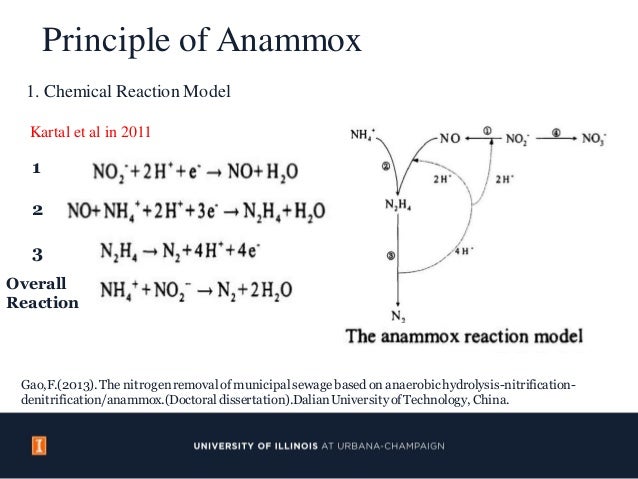 Anammox Process for Nitrogen Removal from Wastewater