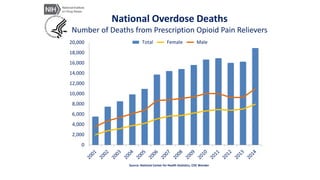 National Overdose Deaths
Number of Deaths from Prescription Opioid Pain Relievers
0
2,000
4,000
6,000
8,000
10,000
12,000
14,000
16,000
18,000
20,000 Total Female Male
Source: National Center for Health Statistics, CDC Wonder
 