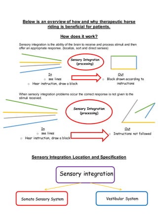 Below is an overview of how and why therapeutic horse
riding is beneficial for patients.
How does it work?
Sensory integration is the ability of the brain to receive and process stimuli and then
offer an appropriate response. (localize, sort and direct senses)
When sensory integration problems occur the correct response is not given to the
stimuli received.
Sensory Integration Location and Specification
In
o see lines
o Hear instruction, draw a block
Sensory Integration
(processing)
Out
o Block drawn according to
instructions
In
o see lines
o Hear instruction, draw a block
Sensory Integration
(processing)
Out
o Instructions not followed
Sensory integration
Somato Sensory System Vestibular System
 