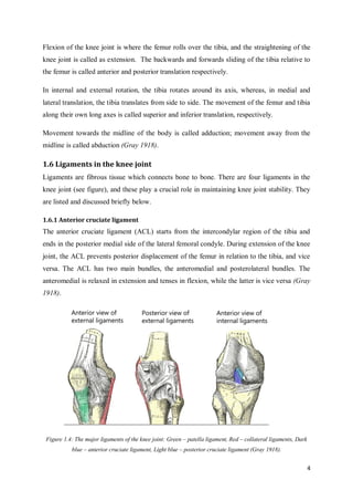 4
Flexion of the knee joint is where the femur rolls over the tibia, and the straightening of the
knee joint is called as extension. The backwards and forwards sliding of the tibia relative to
the femur is called anterior and posterior translation respectively.
In internal and external rotation, the tibia rotates around its axis, whereas, in medial and
lateral translation, the tibia translates from side to side. The movement of the femur and tibia
along their own long axes is called superior and inferior translation, respectively.
Movement towards the midline of the body is called adduction; movement away from the
midline is called abduction (Gray 1918).
1.6 Ligaments in the knee joint
Ligaments are fibrous tissue which connects bone to bone. There are four ligaments in the
knee joint (see figure), and these play a crucial role in maintaining knee joint stability. They
are listed and discussed briefly below.
1.6.1 Anterior cruciate ligament
The anterior cruciate ligament (ACL) starts from the intercondylar region of the tibia and
ends in the posterior medial side of the lateral femoral condyle. During extension of the knee
joint, the ACL prevents posterior displacement of the femur in relation to the tibia, and vice
versa. The ACL has two main bundles, the anteromedial and posterolateral bundles. The
anteromedial is relaxed in extension and tenses in flexion, while the latter is vice versa (Gray
1918).
Figure 1.4: The major ligaments of the knee joint: Green – patella ligament, Red – collateral ligaments, Dark
blue – anterior cruciate ligament, Light blue – posterior cruciate ligament (Gray 1918).
 