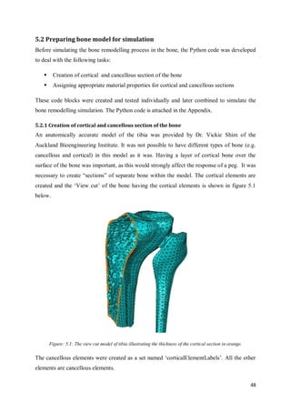 48
5.2 Preparing bone model for simulation
Before simulating the bone remodelling process in the bone, the Python code was developed
to deal with the following tasks:
 Creation of cortical and cancellous section of the bone
 Assigning appropriate material properties for cortical and cancellous sections
These code blocks were created and tested individually and later combined to simulate the
bone remodelling simulation. The Python code is attached in the Appendix.
5.2.1 Creation of cortical and cancellous section of the bone
An anatomically accurate model of the tibia was provided by Dr. Vickie Shim of the
Auckland Bioengineering Institute. It was not possible to have different types of bone (e.g.
cancellous and cortical) in this model as it was. Having a layer of cortical bone over the
surface of the bone was important, as this would strongly affect the response of a peg. It was
necessary to create “sections” of separate bone within the model. The cortical elements are
created and the ‘View cut’ of the bone having the cortical elements is shown in figure 5.1
below.
Figure: 5.1: The view cut model of tibia illustrating the thickness of the cortical section in orange.
The cancellous elements were created as a set named ‘corticalElementLabels’. All the other
elements are cancellous elements.
 