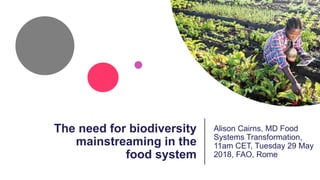 The need for biodiversity
mainstreaming in the
food system
Alison Cairns, MD Food
Systems Transformation,
11am CET, Tuesday 29 May
2018, FAO, Rome
 