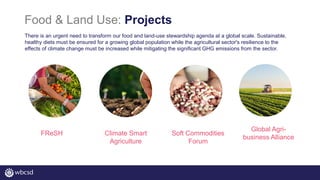 Food & Land Use: Projects
There is an urgent need to transform our food and land-use stewardship agenda at a global scale....