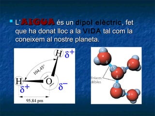 

L’AIGUA és un dipol elèctric , fet
que ha donat lloc a la VIDA tal com la
coneixem al nostre planeta.

 