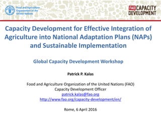 Capacity Development for Effective Integration of
Agriculture into National Adaptation Plans (NAPs)
and Sustainable Implementation
Global Workshop, Rome, April 6th 2016
Patrick P. Kalas
Food and Agriculture Organization of the United Nations (FAO)
Office of Partnerships, Advocacy and Capacity Development (OPC)
Capacity Development Officer
patrick.kalas@fao.org
http://www.fao.org/capacity-development/en/
 