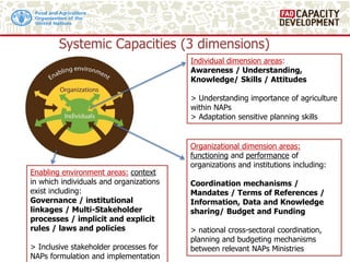 Capacity Development for Effective Integration of Agriculture into ...