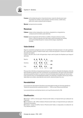 Capítulo 4 - Genética

Cuerpo: profundidad de pecho, línea dorsal recta, inserción alta de cola, buen
arqueado de costillas, hueso pesado, hombros rectos, rodilla recta,
pelo corto, peso corporal y pie compacto.
Mental: temperamento sociable.

Recesivas
Cabeza: orejas cortas o pequeñas, ojos claros, prognatismo, enognatismo,
occipucio pronunciado y ojos saltones.
Cuerpo: buena angulación de hombros y rodillas, empuje y alcance, hueso
liviano, inserción baja de cola, pelo largo, pobre arqueado de costillas,
poca profundidad de pecho, huesos rectos largos, espalda de
camello.

Valor Umbral
Algunos caracteres poligénicos solo se manifiestan fenotípicamente si el valor genérico
de un genotipo supera un determinado valor umbral de expresión. Este es el modelo de la
displasia de cadera.
Cuanto más alto sea el valor del genotipo mayor será el grado de displasia que tenga el
ejemplar.
Macho:

a1 a3 b1 b7 c1 c3
+1 +4

b2 b4 c3 c5
+3 +1 +3 +1= +14

a3 a2

b1 b2

+4 +5

Hijo:

+3 +1 +6 +1 = +16

a1 a2
+1 +5

Hembra:

+3 +3 +6 +1 = +22

c1 c5

Para que dos individuos al aparearse produzcan un cachorro afectado de displasia, éste deberá heredar los genes que más contribuyan a la característica. De igual modo dos padres
afectados podrían producir un cachorro normal al heredar éste los genes de menos valor.
Este carácter tiene una heredabilidad de 46% y se halla bajo múltiples influencias ambientales tales como dieta, velocidad de crecimiento, efectos endocrinos, etc.

Heredabilidad
Es la proporción del aspecto fenotípico que está determinado por factores genéticos.
Todas las características cualitativas tienen h = 100 (no hay influencia ambiental)
Las características cuantitativas tienen una h que fluctúa entre 0 y 100.

Clasificación:
a) de baja h: (20% o menos) gran influencia del medio, el mejoramiento por selección es
más lento
b) de mediana h: (30 – 50%) mediana influencia del medio, el mejoramiento por selección
da buenos resultados
c) de alta h: (mayor de 50%) menor influencia del medio, la respuesta a la selección es
muy rápida y efectiva

60

Consejo de Jueces - FCA - 2011

 