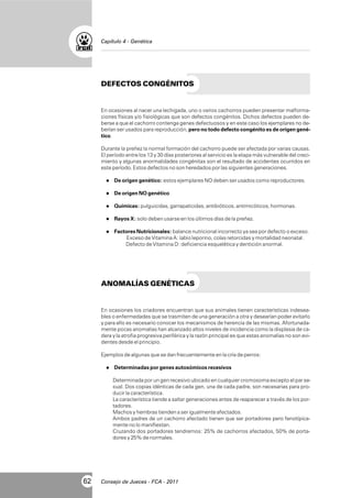 Capítulo 4 - Genética

DEFECTOS CONGÉNITOS

En ocasiones al nacer una lechigada, uno o varios cachorros pueden presentar malformaciones físicas y/o fisiológicas que son defectos congénitos. Dichos defectos pueden deberse a que el cachorro contenga genes defectuosos y en este caso los ejemplares no deberían ser usados para reproducción, pero no todo defecto congénito es de origen genético.
Durante la preñez la normal formación del cachorro puede ser afectada por varias causas.
El período entre los 13 y 30 días posteriores al servicio es la etapa más vulnerable del crecimiento y algunas anormalidades congénitas son el resultado de accidentes ocurridos en
este período. Estos defectos no son heredados por las siguientes generaciones.
l
De origen genético: estos ejemplares NO deben ser usados como reproductores.
l
De origen NO genético
l
Químicas: pulguicidas, garrapaticidas, antibióticos, antimicóticos, hormonas.
l X: solo deben usarse en los últimos días de la preñez.
Rayos
l
Factores Nutricionales: balance nutricional incorrecto ya sea por defecto o exceso.

Exceso de Vitamina A: labio leporino, colas retorcidas y mortalidad neonatal.
Defecto de Vitamina D: deficiencia esquelética y dentición anormal.

ANOMALÍAS GENÉTICAS

En ocasiones los criadores encuentran que sus animales tienen características indeseables o enfermedades que se trasmiten de una generación a otra y desearían poder evitarlo
y para ello es necesario conocer los mecanismos de herencia de las mismas. Afortunadamente pocas anomalías han alcanzado altos niveles de incidencia como la displasia de cadera y la atrofia progresiva periférica y la razón principal es que estas anomalías no son evidentes desde el principio.
Ejemplos de algunas que se dan frecuentemente en la cría de perros:
l
Determinadas por genes autosómicos recesivos

Determinada por un gen recesivo ubicado en cualquier cromosoma excepto el par sexual. Dos copias idénticas de cada gen, una de cada padre, son necesarias para producir la característica.
La característica tiende a saltar generaciones antes de reaparecer a través de los portadores.
Machos y hembras tienden a ser igualmente afectados.
Ambos padres de un cachorro afectado tienen que ser portadores pero fenotípicamente no lo manifiestan.
Cruzando dos portadores tendremos: 25% de cachorros afectados, 50% de portadores y 25% de normales.

62

Consejo de Jueces - FCA - 2011

 