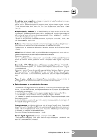 Capítulo 4 - Genética

Eversión del tercer párpado: produce el enroscamiento hacia fuera de la membrana
nictante en el ángulo externo del ojo.
Basset Hound, Beagle, Bloodhound, Boston Terrier, Boxer, Bulldog Inglés, Shar Pei,
Cocker Spaniel, Lhasa Apso, Terranova, Shih Tzu, San Bernardo, Irish Setter, y Weimaraner.
Atrofia progresiva periférica: es un defecto del ojo en el que la capa visual de la retina degenera progresivamente. Los primeros signos son el oscurecimiento de la visión nocturna, luego de la penumbra, después de la visión a la luz del día y por último
el animal termina totalmente ciego.
Dachshund de pelo largo (12 meses o menos), Norwegian Elkhound (2 años), Caniche Miniatura y Toy (6 a 9 años).
Diabetes: inhabilidad de producir la hormona insulina por las células del páncreas y
por lo tanto la no metabolización de los hidratos de carbono (azucares).
En Keeshonds se sabe que es autosómica recesiva, en otras razas no ha sido determinado.
Sordera: en uno o ambos oídos se produce debido a la degeneración de las estructuras sensitivas internas del oído a las pocas semanas de nacer.
Doberman, Rottweiler.
Hay una fuerte asociación entre sordera y aumentadas cantidades de blanco en el
manto: Bull Terrier, Pointer, Sealyham Terrier, Samoyedo, Setter Inglés, Greyhound,
etc.
Enfermedad de Von Willebrand: es la falta de capacidad para fabricar el Factor VIII o
Factor von Willebrand (vWF), una proteína esencial para que se produzca la coagulación de la sangre.
Doberman, Scottish Terrier, Shetland Sheepdog, Golden Retriever, Caniche Estandar
y Miniatura, Welsh Pembroke Corgi, Schnauzer Miniatura, Basset Hound, Ovejero
Alemán, Rottweilers, Manchester Terrier, Keeshond, Datchshund Estandar y Miniatura.
Fisura de labio o paladar: anomalía poco frecuente, se observó en una familia de
Bulldog y en una de Bernese Sennenhound asociada con labio leporino.
l
Determinadas por un gen autosómico dominante

Determinada por un gen dominante ubicado en cualquier cromosoma excepto el par
sexual. Una sola copia del gen, el cual proviene de uno de los padres, es necesaria para producir la característica.
La característica no salta generaciones y es vista por igual en machos y hembras.
La característica será aparente en ambos padres y la progenie afectada.
Los padres con la característica dominante la pasarán a aproximadamente la mitad
de la descendencia.
La característica es usualmente aparente y los individuos afectados tienden a ser eliminados de los programas de cría.
Estenosis aórtica: parcial obstrucción del flujo de sangre hacia la aorta. Varia desde
pequeños nódulos hasta bandas fibrosas justo debajo de la válvula aórtica (estenosis
aórtica subvalvular). Debido a la obstrucción el corazón debe trabajar mucho más para bombear un volumen de sangre adecuada.
Terranova, Golden Retriever, Rottweiler, y Boxer.
Sordera (ligada al gen merle): en razas con el gen merle (MM).
Collie, Shetland Sheepdog, Gran Danés arlequín, Viejo Pastor Inglés, Dachshund Arlequín (18% bilateral y 36% unilateral)

Consejo de Jueces - FCA - 2011

63

 
