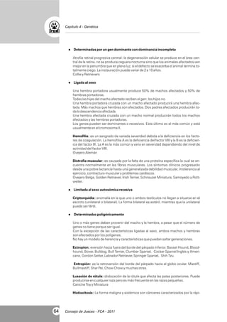 Capítulo 4 - Genética

l
Determinadas por un gen dominante con dominancia incompleta

Atrofia retinal progresiva central: la degeneración celular se produce en el área central de la retina, no se produce ceguera nocturna sino que los animales afectados ven
mejor en la penumbra que en plena luz, si el defecto se exacerba el animal termina totalmente ciego. La instauración puede variar de 2 a 10 años.
Collie y Retrievers
l
Ligada al sexo

Una hembra portadora usualmente produce 50% de machos afectados y 50% de
hembras portadoras.
Todas las hijas del macho afectado reciben el gen; los hijos no.
Una hembra portadora cruzada con un macho afectado producirá una hembra afectada. Más machos que hembras son afectados. Dos padres afectados producirán toda la descendencia afectada.
Una hembra afectada cruzada con un macho normal producirán todos los machos
afectados y las hembras portadoras.
Los genes pueden ser dominantes o recesivos. Este último es el más común y está
usualmente en el cromosoma X.
Hemofilia: es un sangrado de variada severidad debida a la deficiencia en los factores de coagulación. La hemofilia A es la deficiencia del factor VIII y la B es la deficiencia del factor IX. La A es la más común y varia en severidad dependiendo del nivel de
actividad del factor VIII.
Ovejero Alemán
Distrofia muscular: es causada por la falta de una proteína específica la cual se encuentra normalmente en las fibras musculares. Los síntomas clínicos progresarán
desde una pobre lactancia hasta una generalizada debilidad muscular, intolerancia al
ejercicio, contractura muscular y problemas cardíacos.
Ovejero Belga, Golden Retriever, Irish Terrier, Schnauzer Miniatura, Samoyedo y Rottweiler.
l
Limitada al sexo autosómica recesiva

Criptorquidia: anomalía en la que uno o ambos testículos no llegan a situarse en el
escroto (unilateral o bilateral). La forma bilateral es estéril, mientras que la unilateral
puede ser fértil.
l
Determinadas poligénicamente

Uno o más genes deben provenir del macho y la hembra, a pesar que el número de
genes no tiene porque ser igual.
Con la excepción de las características ligadas al sexo, ambos machos y hembras
son afectados por los poligenes.
No hay un modelo de herencia y características que puedan saltar generaciones.
Ectropion: eversión hacia fuera del borde del párpado inferior. Basset Hound, Bloodhound, Boxer, Bulldog, Bull Terrier, Clumber Spaniel, Cocker Spaniel Inglés y Americano, Gordon Setter, Labrador Retriever, Springer Spaniel, Shih Tzu.
Entropión: es la retroversión del borde del párpado hacia el globo ocular. Mastiff,
Bullmastiff, Shar Pei, Chow Chow y muchas otras.
Luxación de rótula: dislocación de la rótula que afecta las patas posteriores. Puede
producirse en cualquier raza pero es más frecuente en las razas pequeñas.
Caniche Toy y Miniatura
Histiocitosis: La forma maligna y sistémica son cánceres caracterizados por la rápi-

64

Consejo de Jueces - FCA - 2011

 