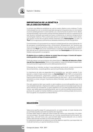 Capítulo 4 - Genética

IMPORTANCIA DE LA GENÉTICA
EN LA CRÍA DE PERROS
Lo primero que debemos establecer es cual es nuestro objetivo como criadores. Si solamente deseamos criar un excelente ejemplar para ganar en exposiciones y no nos importa
mucho la calidad general en nuestro plantel, una u otra forma de cría será lo mismo. Bastará solamente elegir machos para nuestras hembras basándonos solo en su apariencia y el
azar dictará el resultado que puede ser bueno si obtenemos un cachorro excepcional en
una lechigada mediocre. Pero cuando este cachorro se reproduzca vendrá nuestra desilusión porque muchos de sus genes estarán presentes como heterocigotas y no será un
"Puro" (homocigota para características deseadas) desde el punto de vista genético.
Contrariamente si lo que queremos es mejorar la calidad general de nuestro plantel de modo que ganen constantemente en tipo, conformación, temperamento, etc, tenemos que
tener conocimientos de genética y adoptar sistemas de cría que nos aseguren un plantel
cada vez más "Puro" para varias características. El ejemplar sobresaliente aparecerá también aquí de vez en cuando porque en nuestro stock será homocigota para las buenas cualidades y estas pasarán a su progenie.
El objetivo de un criador es obtener su propia línea de sangre. A través del mejoramiento genético se llega al "progreso genético".
El arte de mejorar una raza se basa en dos pilares básicos: Métodos de Selección y Sistemas de Cría o Apareamiento. Dicho en otras palabras, la elección de determinados individuos para la próxima generación y como debe aparearse entre sí.
El fenotipo de un individuo, es decir, lo que realmente vemos de él, consta o proviene de
dos componentes, una parte genética, que es lo que hereda y otra ambiental.
La importancia de cada una dependerá de lo heredable que sea dicho carácter. Si por
ejemplo un determinado carácter tiene una heredabilidad (h) del 100%, el componente
ambiental (ambientación, alojamiento, cuidados, sanitarios, etc) no tendrá ninguna influencia sobre el fenotipo. Pero si el carácter posee tan solo una h = 20 %, el componente
ambiental va a tener una gran importancia sobre el fenotipo, aproximadamente un 80 %
de su valor.
Con esto queremos decir que cuando un perro padece una anomalía genética que no es
muy heredable (ejemplo: displasia de cadera), puede quedar enmascarado el genotipo de
dicho individuo por el ambiente. Un perro displásico con una dieta equilibrada buen alojamiento, que realiza ejercicios periódicamente, que no sufre los cambios bruscos de temperatura, etc, puede no mostrar el defecto aunque continúa siendo portador de la anomalía en sus genes, la cual pasará a su descendencia.

SELECCIÓN

Seleccionar significa elegir. En cada generación, en cada camada, el criador decide entre
sus animales aquellos que serán los padres de la siguiente.
El criador debe realizar la selección sobre la base de criterios que respondan a los objetivos que persigue. Se puede seleccionar por muchas características (conformación, aspecto físico, color del manto, etc.), pero también debe hacerse selección con un criterio
médico descartando animales con anomalías genéticas.
En ocasiones la selección se realiza en procura de objetivos caprichos, que responden a la
moda del momento y no aportan beneficios a la raza.

68

Consejo de Jueces - FCA - 2011

 