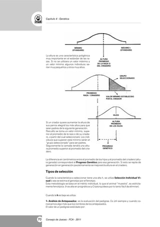 Capítulo 4 - Genética

MÁXIMO+
(STANDARD)

MÍNIMO
(STANDARD)

La altura es una característica poligénica
muy importante en el estándar de las razas. Si no se utilizara un valor máximo y
un valor mínimo algunos individuos serían muy pequeños y otros muy altos.

ALTURA
PROMEDIO
DE LA RAZA O
DEL CRIADERO

GRUPO
SELECCIONADO

PROMEDIO
RAZA / CRIADERO

VALOR MÍNIMO ESTABLECIDO
POR EL CRIADOR

HIJOS

Si un criador quiere aumentar la altura de
sus perros elegirá los más altos para que
sean padres de la siguiente generación.
Para ello se toma un valor mínimo, superior al promedio de la raza o de su criadero, a partir del cual seleccionará. Los individuos que superen este mínimo serán el
“grupo seleccionado” para ser padres.
Seguramente la camada tendrá una altura promedio superior al promedio del criadero.

ALTURA
PROMEDIO
DE LOS HIJOS

PROGRESO
GENÉTICO

La diferencia en centímetros entre el promedio de los hijos y el promedio del criadero (altura ganada) corresponderá al Progreso Genético para esa generación. Si esto se repite de
generación en generación paulatinamente se mejorará la altura en el criadero.

Tipos de selección
Cuando la característica a seleccionar tiene una alta h, se utiliza Selección Individual Visual o sea se estima el genotipo por el fenotipo.
Esta metodología se basa en el mérito individual, lo que el animal “muestra”, es estrictamente fenotípica. (h es alta en prognáticos y Criptorquídeos por lo tanto fácil de eliminar).

Cuando la h es baja se utiliza:
1- Análisis de Antepasados: es la evaluación del pedigree. Es útil siempre y cuando conozcamos algo más que los nombres de los antepasados.
El valor de un pedigree está dado por:

70

Consejo de Jueces - FCA - 2011

 