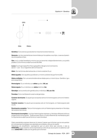 Capítulo 4 - Genética

GEN

DNA

RNAm

Genética: Es la ciencia que estudia los mecanismos de la herencia.
Herencia: son las características transmitidas por los padres a sus hijos, o sea es el parecido entre padres e hijos.
Gen: es la unidad hereditaria mínima que se transmite independientemente y se podría
predecir. Es la mínima unidad funcional de DNA.
Locus: Es el lugar específico físico-geográfico del gen en el cromosoma
(plural = Loci – es un segmento del cromosoma)
Alelo: Son las formas alternativas de un mismo carácter (A y a)
Alelos iguales: Son aquellos que afectan un mismo carácter de igual forma (AA)
Alelos múltiples: Son una serie de alternativas dadas para un mismo locus Genético. (grupos sanguíneos)
Homocigota: Es un individuo con alelos iguales ( AA, aa)
Heterocigota: Es un individuo con alelos distintos (Aa)
Genotipo: es la constitución genética de un individuo ( AA, aa o Aa)
Fenotipo: Es la manifestación externa del genotipo.
Carácter dominante: Es aquel que se expresa tanto en la homocigosis como en la heterocigosis.
Carácter recesivo: Es aquel que se expresa solo en homocigosis, en heterocigosis está
oculto.
Dominancia completa: Tanto el homocigota como el heterocigota presentan el fenotipo
del carácter dominante.
Dominancia incompleta: Los hijos heterocigotas expresan un fenotipo diferente al de sus
progenitores homocigotas. (Cada proceso tiene un modo diferente de manifestarse pero
lo importante es saber que se forma un nuevo fenotipo)

Cada característica siempre tiene por lo menos 2 genes que la forman que se encuentran
en cromosomas homólogos (uno aportado por el padre y otro por la madre).
Trataremos de simplificarlo: supongamos que un perro tiene ojos oscuros, o sea su
FENOTIPO, lo que nosotros vemos expresado es color de ojo oscuro pero no sabemos cuál
es su GENOTIPO. (cuáles son los genes que lo forman)
Consejo de Jueces - FCA - 2011

55

 