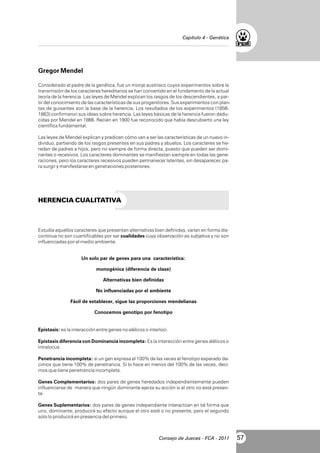Capítulo 4 - Genética

Gregor Mendel
Considerado el padre de la genética, fue un monje austriaco cuyos experimentos sobre la
transmisión de los caracteres hereditarios se han convertido en el fundamento de la actual
teoría de la herencia. Las leyes de Mendel explican los rasgos de los descendientes, a partir del conocimiento de las características de sus progenitores. Sus experimentos con plantas de guisantes son la base de la herencia. Los resultados de los experimentos (18561863) confirmaron sus ideas sobre herencia. Las leyes básicas de la herencia fueron deducidas por Mendel en 1866. Recién en 1900 fue reconocido que había descubierto una ley
científica fundamental.
Las leyes de Mendel explican y predicen cómo van a ser las características de un nuevo individuo, partiendo de los rasgos presentes en sus padres y abuelos. Los caracteres se heredan de padres a hijos, pero no siempre de forma directa, puesto que pueden ser dominantes o recesivos. Los caracteres dominantes se manifiestan siempre en todas las generaciones, pero los caracteres recesivos pueden permanecer latentes, sin desaparecer, para surgir y manifestarse en generaciones posteriores.

HERENCIA CUALITATIVA

Estudia aquellos caracteres que presentan alternativas bien definidas, varían en forma discontinua no son cuantificables por ser cualidades cuya observación es subjetiva y no son
influenciadas por el medio ambiente.
Un solo par de genes para una característica:
monogénica (diferencia de clase)
Alternativas bien definidas
No influenciadas por el ambiente
Fácil de establecer, sigue las proporciones mendelianas
Conocemos genotipo por fenotipo

Epistasis: es la interacción entre genes no alélicos o interloci.
Epistasis diferencia con Dominancia incompleta: Es la interacción entre genes alélicos o
intralocus.
Penetrancia incompleta: si un gen expresa el 100% de las veces el fenotipo esperado decimos que tiene 100% de penetrancia. Si lo hace en menos del 100% de las veces, decimos que tiene penetrancia incompleta.
Genes Complementarios: dos pares de genes heredados independientemente pueden
influenciarse de manera que ningún dominante ejerza su acción si el otro no está presente.
Genes Suplementarios: dos pares de genes independiente interactúan en tal forma que
uno, dominante, producirá su efecto aunque el otro esté o no presente, pero el segundo
solo lo producirá en presencia del primero.

Consejo de Jueces - FCA - 2011

57

 