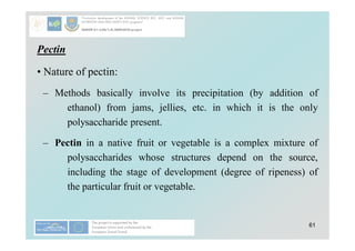 61
Pectin
• Nature of pectin:
– Methods basically involve its precipitation (by addition of
ethanol) from jams, jellies, etc. in which it is the only
polysaccharide present.
– Pectin in a native fruit or vegetable is a complex mixture of
polysaccharides whose structures depend on the source,
including the stage of development (degree of ripeness) of
the particular fruit or vegetable.
 