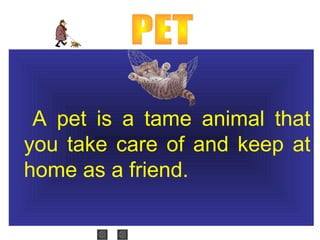 A pet is a tame animal that
you take care of and keep at
home as a friend.
 