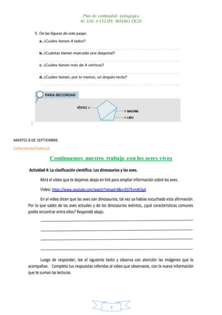 Plan de continuidad pedagógica
4C ESC 6 FELIPE BOERO DE20
3
MARTES 8 DE SEPTIEMBRE.
CIENCIASNATURALES
Continuamos nuestro ...