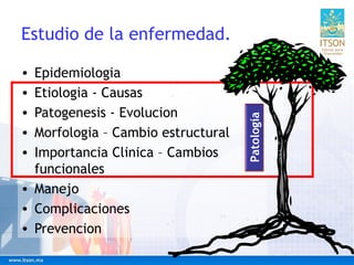 Estudio de la enfermedad.
• Epidemiologia
• Etiologia - Causas
• Patogenesis - Evolucion
• Morfologia – Cambio estructural...