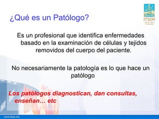 ¿Qué es un Patólogo?
Es un profesional que identifica enfermedades
basado en la examinación de células y tejidos
removidos...